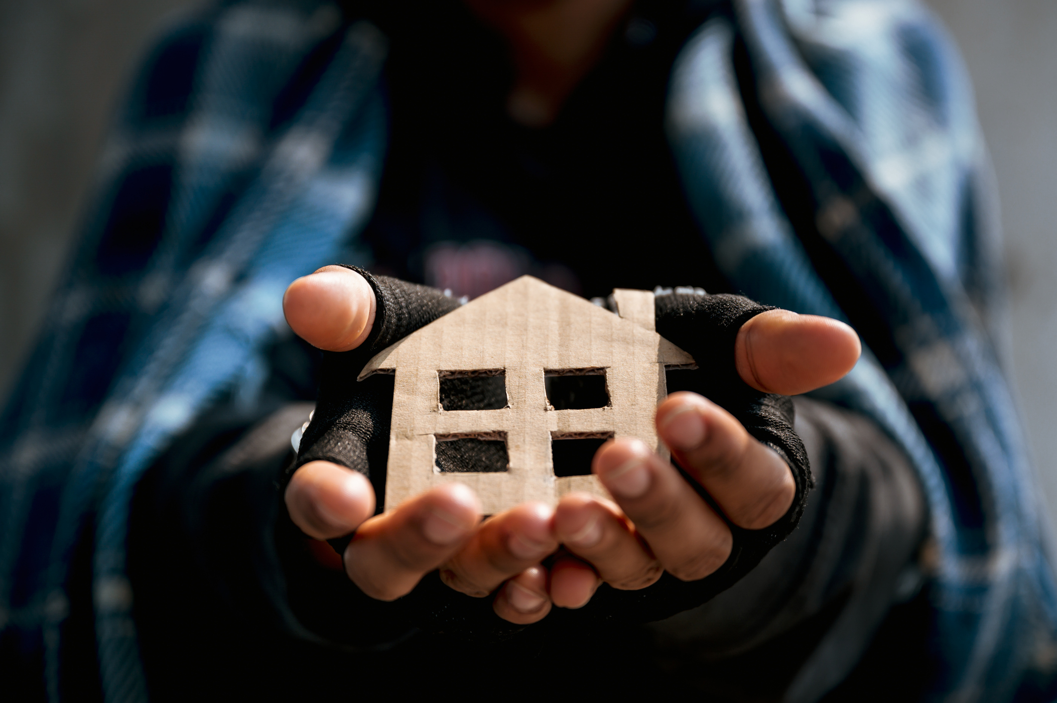 Student Homelessness and Basic Needs Insecurity